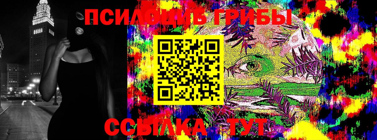Псилоцибиновые грибы Psilocybine cubensis Богородицк